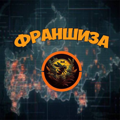 Франшиза от Шмеля!