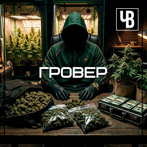 Гровер