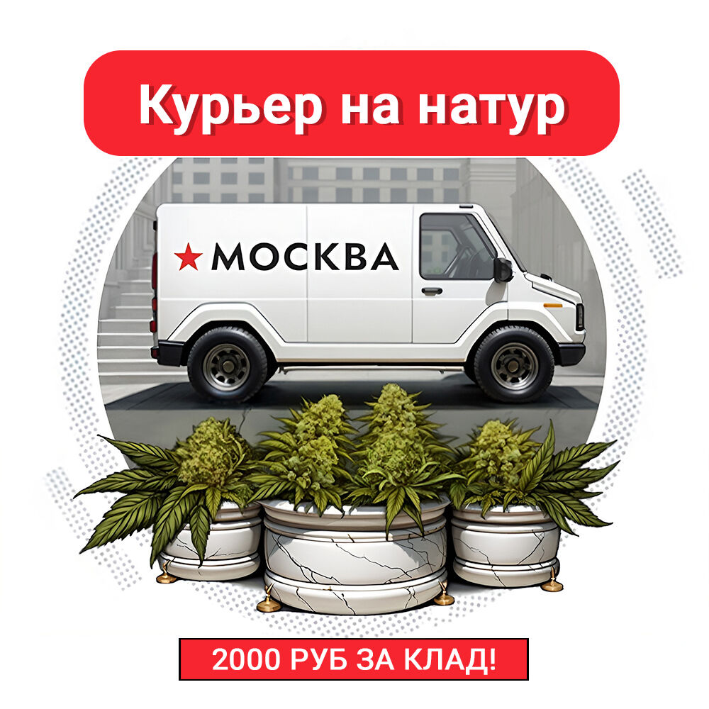 Курьер натур 2000₽ !