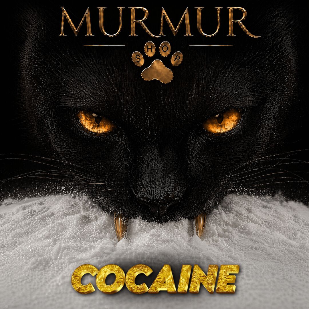 COCAINE PLAYBOY