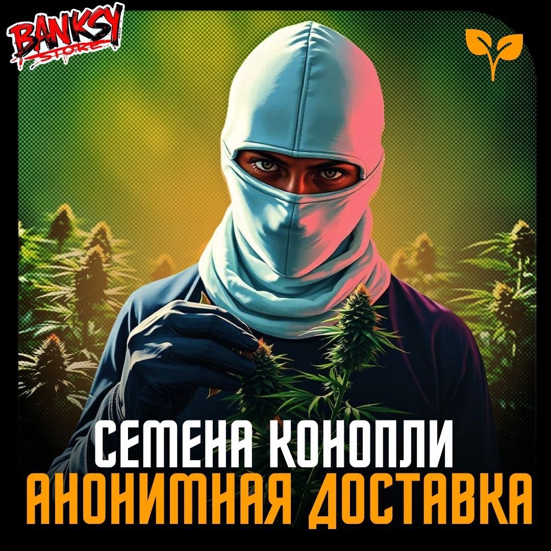СЕМЕНА КОНОПЛИ ФЕМКИ