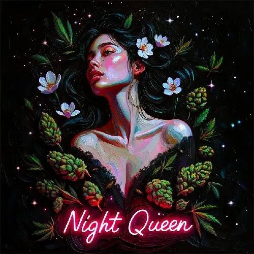 Night Queen hydro